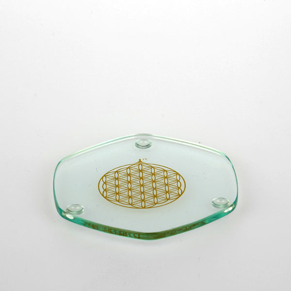 8405139-V_5110_Energy_Plate_gold_9_1