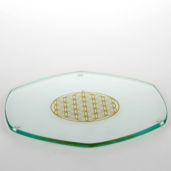 8405139-V_5210_Energy_Plate_gold_22_2