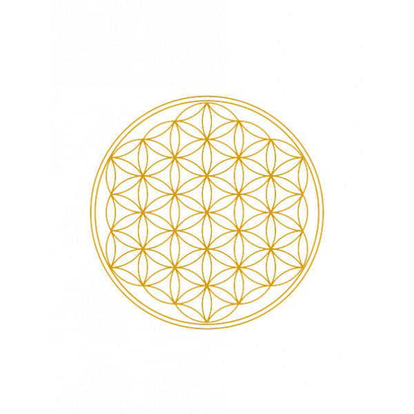 8405818_SB-flower-of-life-2