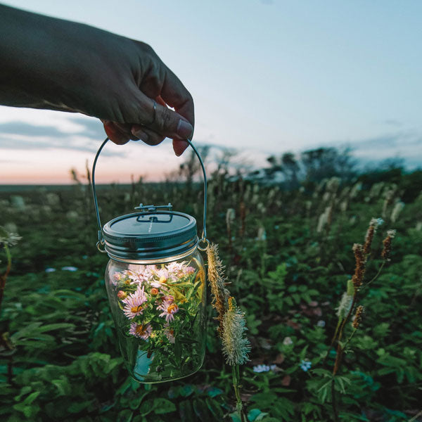 8426059_Sonnenglas-emo-00