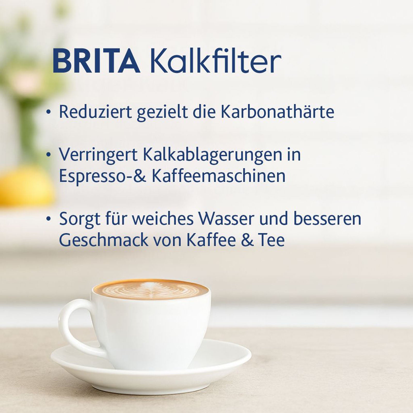 Brita Wasserfilter Purity C1100 Quell ST