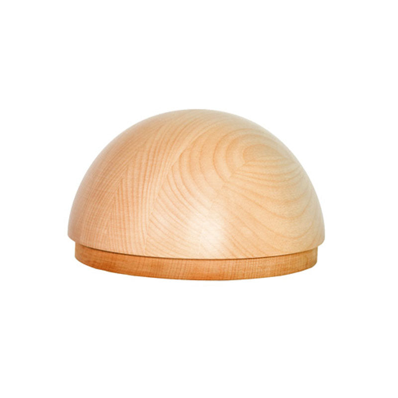 RayGuard-5G-Dome-Holz