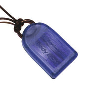 RayGuard_Body-Car-5G-blau