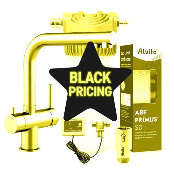 Alvito Einbaufilter-Set Integral Pro